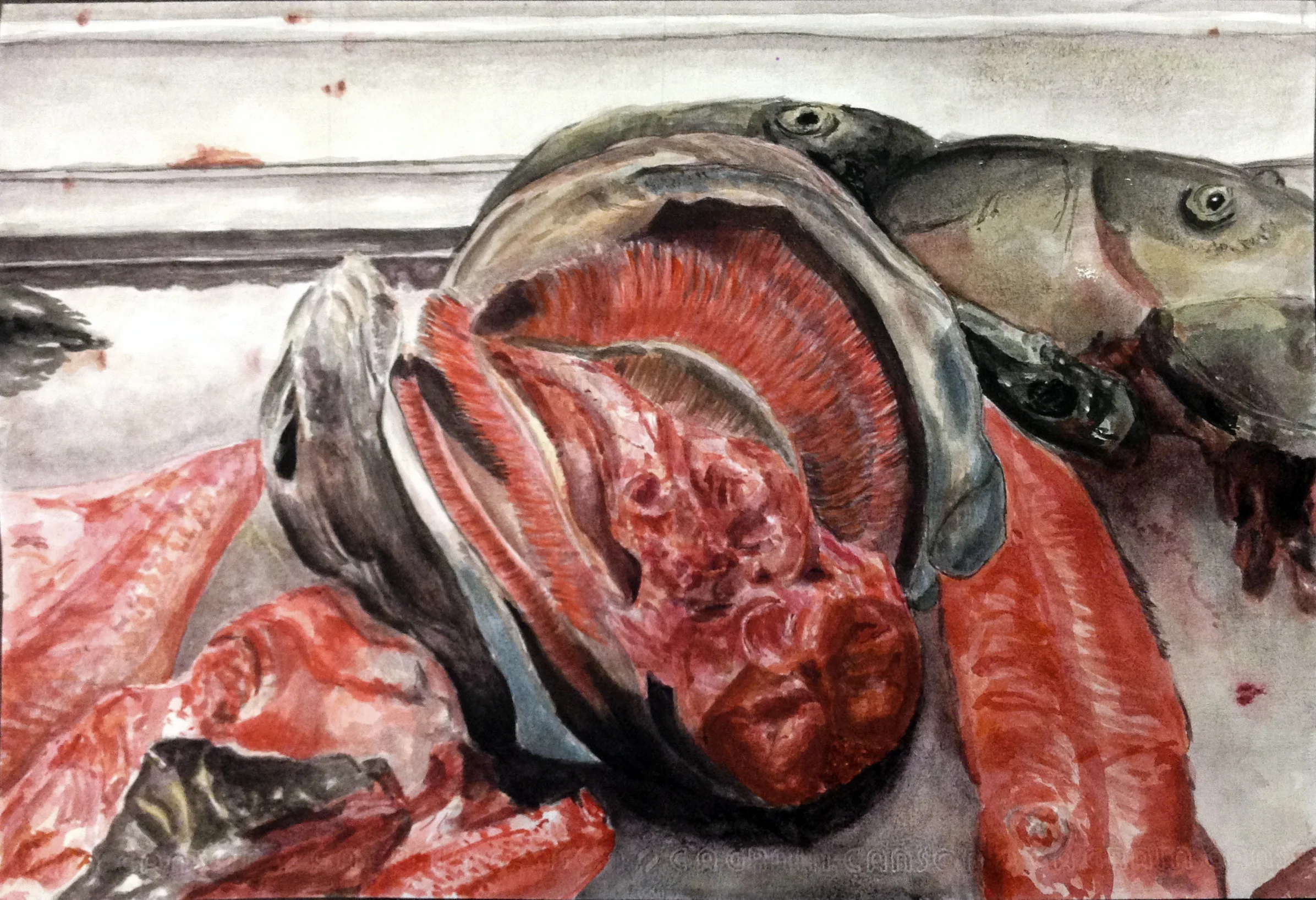 Fish head (Watercolour on Paper)