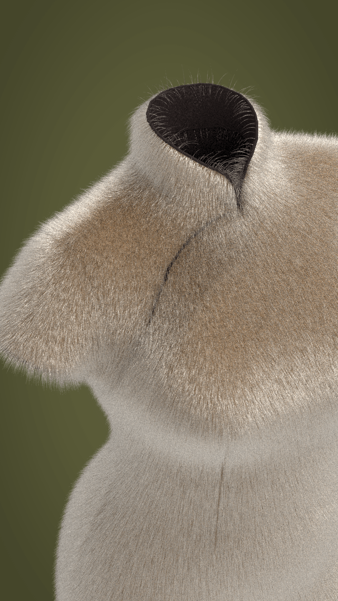 20220611 muskrat fur Cheongsam3-min.png
