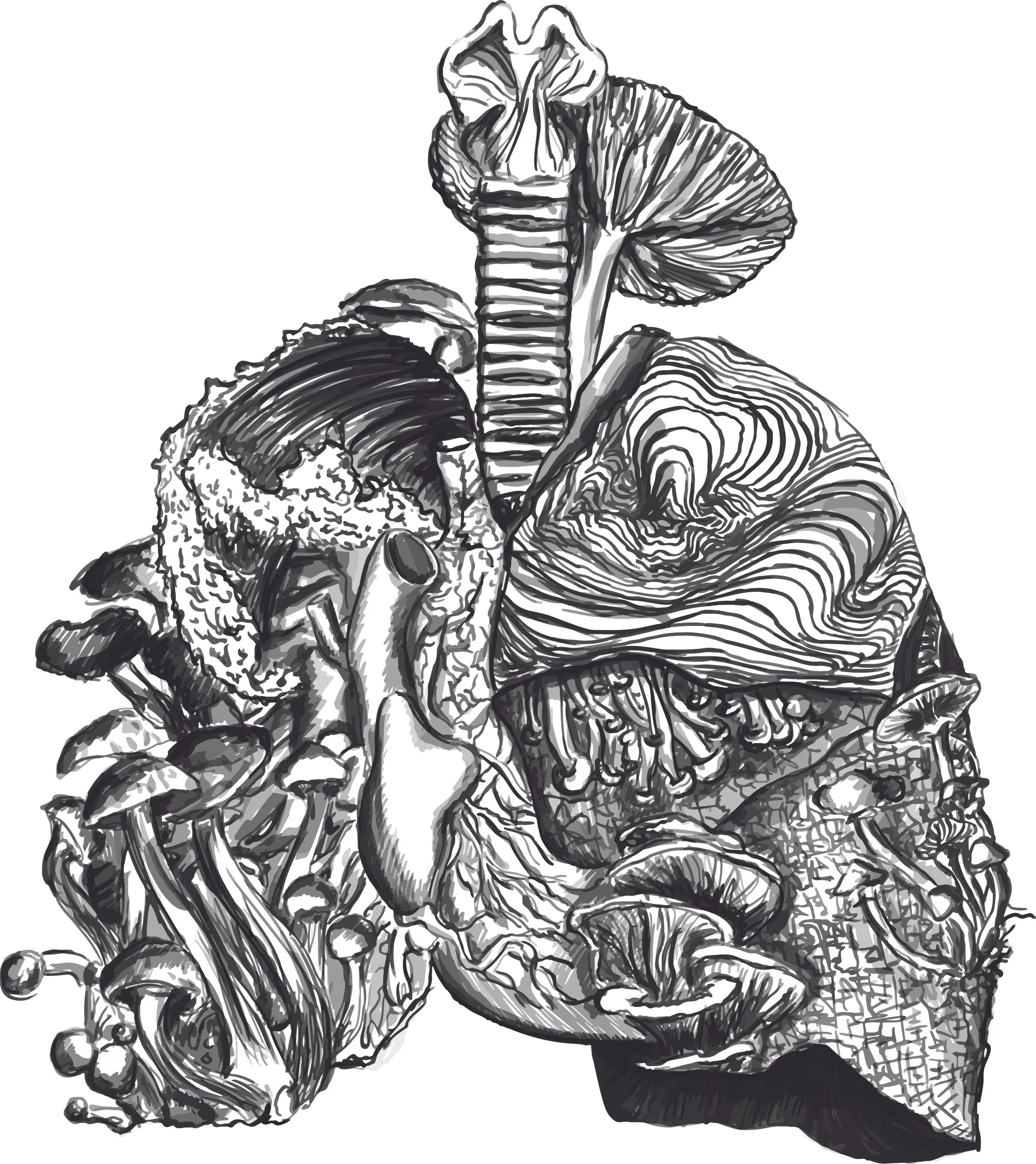 An imagination of mushroom growing on lungs (Digital Illustration)
